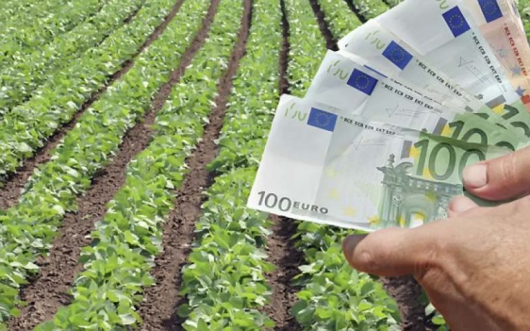 Επιδοτήσεις ΟΠΕΚΕΠΕ: Σήμερα τα χρήματα στους λογαριασμούς Επιδοτήσεις ΟΠΕΚΕΠΕ: Σήμερα τα χρήματα στους λογαριασμούς
